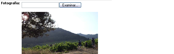Editor Fotografia